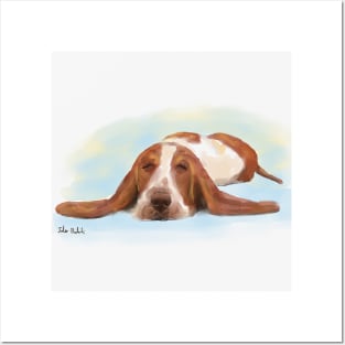 Cute Brown and White Basset Hound Sleeping on the Floor Posters and Art